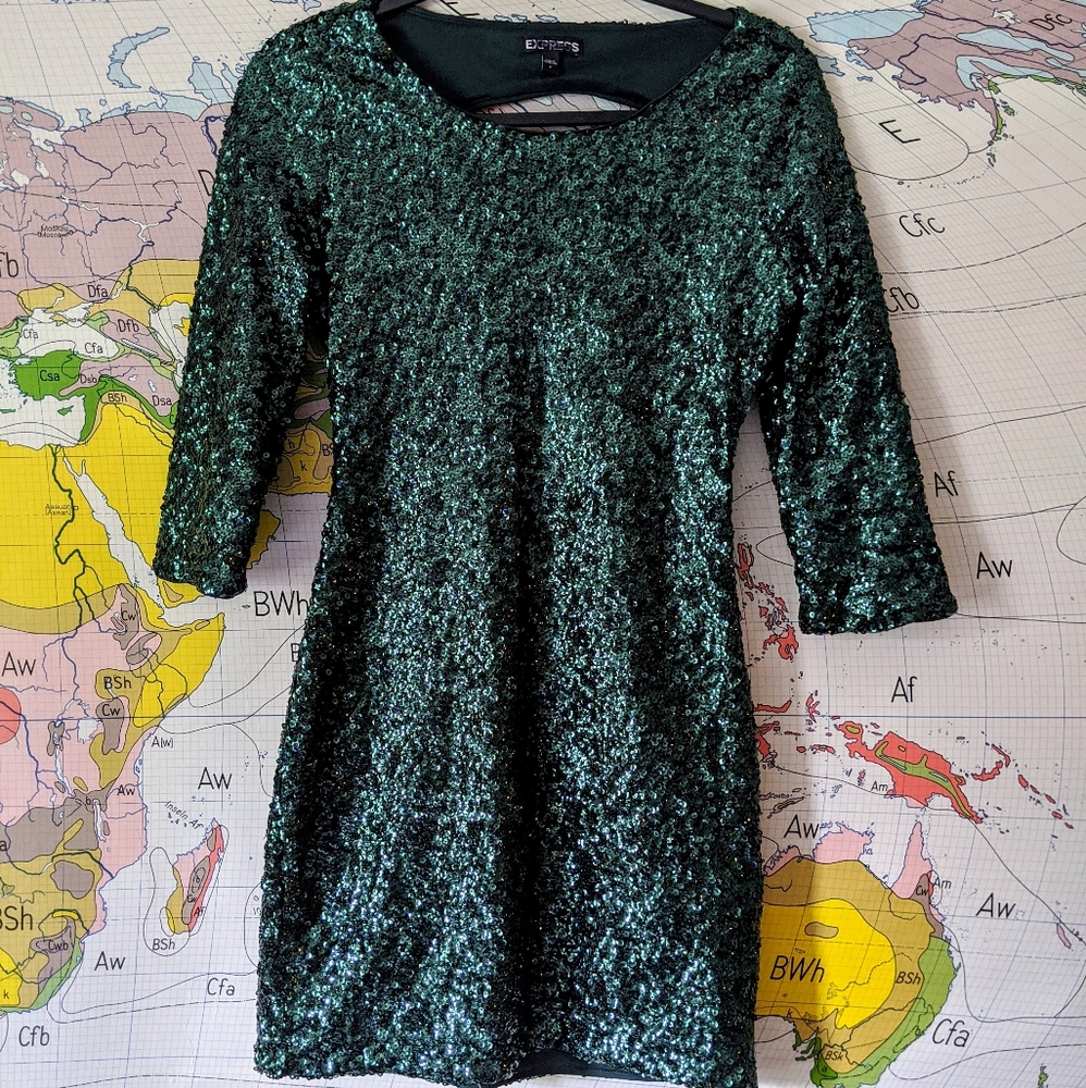 EXPRESS Green Sequence 3/4 length sleeve dress